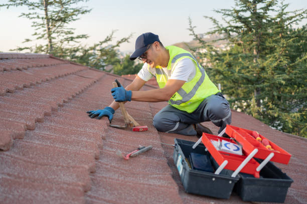 Roof Gutter Cleaning in Hideaway, TX